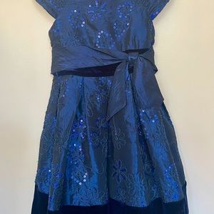 Sweet heart rose Blue special occasion dress.